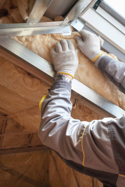 Best Eco-Friendly Insulation in Mill Hall, PA